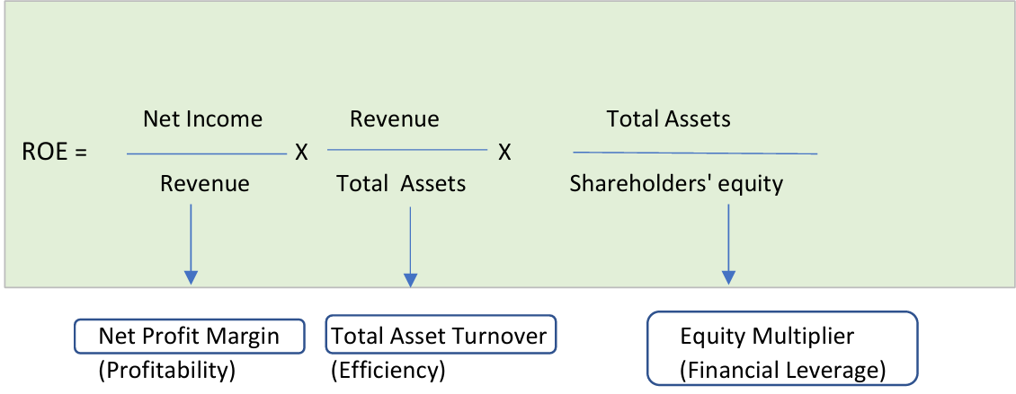 dupoint analysys formula diagram